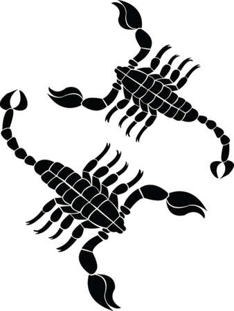scorpion vectorのイラスト素材