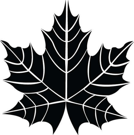 leaf のイラスト素材