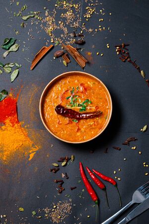 Indian food and spicy spices, stylish photos for the menuの写真素材