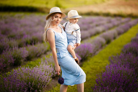Little boy walking with his mother on a lavender field.の写真素材