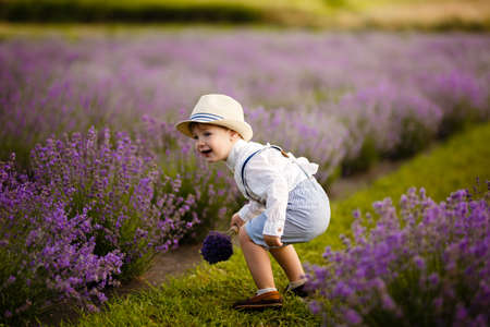Little boy walking on a lavender field. In a stylish hat.の写真素材