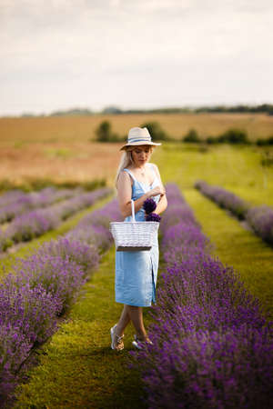 Blonde girl on a lavender field in a straw hat and blue dress.の写真素材