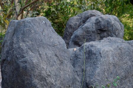 Outdoor photography of big rocks in the gardenのeditorial素材
