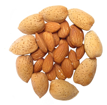 The fruit of the almond is not a true nut, but a drupeの写真素材