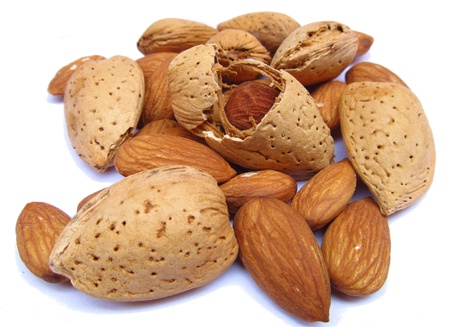 The fruit of the almond is not a true nut, but a drupeの写真素材