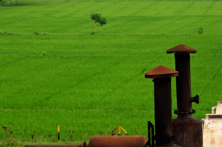 paddy field besides a factory の写真素材
