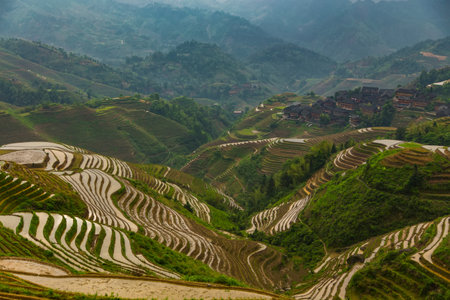 Longji terrace