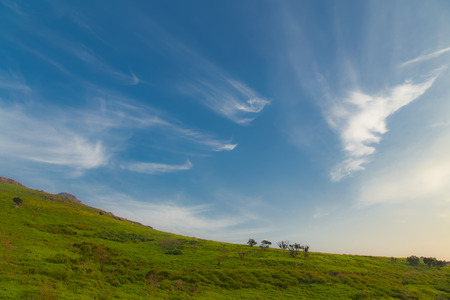 meadowの写真素材