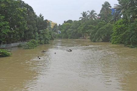 Burdwan Town, Purba Bardhaman District, West Bengal / India - 30.07.2021: The Banka rivulet inflates...