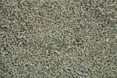 Sea Shinglesの写真素材