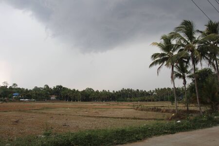 natural paddy area waiting for heavy rainの写真素材