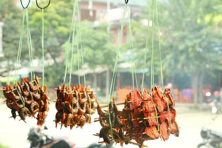 nepal street food. raw fish ready to cook fryの写真素材
