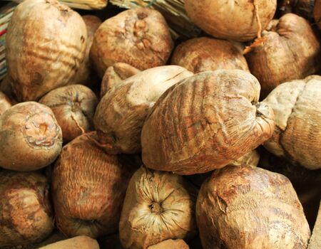Coconut storage of seasonal, preparing for coconut oilの写真素材