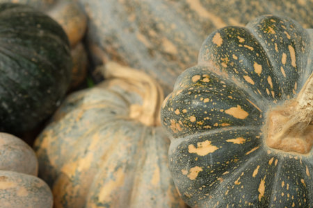 Autumn Pumpkin Thanksgiving Backgroundの写真素材