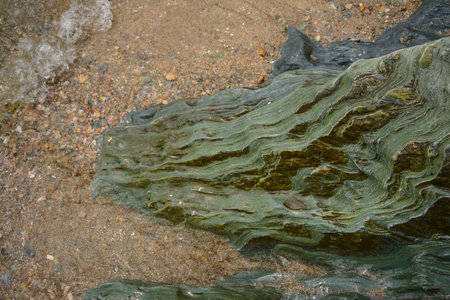 An abstract mixture of textures made by a sandy beach, clear water and curvy emerald green stone