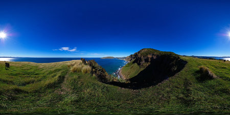 Heyward point, distant view at Aramoana mole and Tairoa Head with lighthouse and albatross colony,...