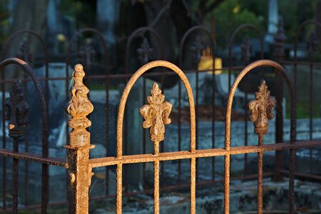 Details of floral ornaments on rusty grave fenceの写真素材