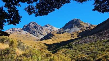 Leaving forest and into the open, Freehold Creek valley, Otago, New Zealandの写真素材
