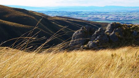 Ocean of tussock and rocks on Maungatua, Dunedin, New Zealandの写真素材