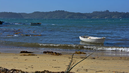 Boats at Ulva Island, New Zealandのeditorial素材