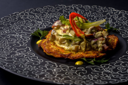 On the dark plate restaurant dish of Ukrainian cuisine : potato pancake with mushroom sauceの写真素材