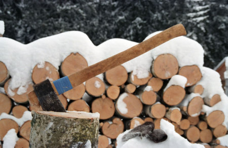 Axe and firewood.の写真素材