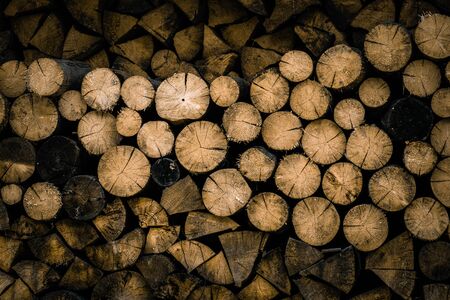 Sawed logs of trees. Background of cut trees, harvesting wood for the winter.の写真素材