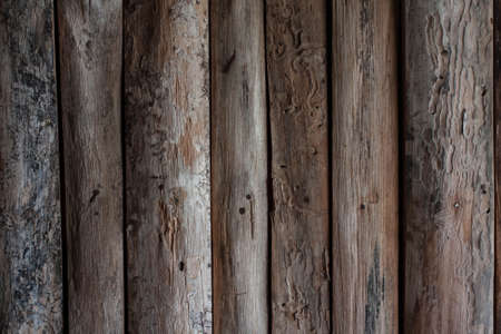 Rods arranged in a line formation. Wood background and textureの写真素材