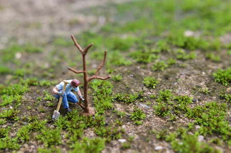 Planting a tree , Miniature figure Young man planting the tree with shovel while working in the gardenの写真素材
