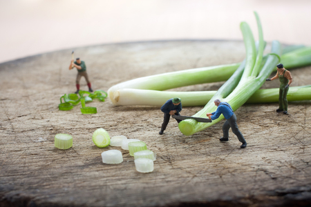 Miniature figure  Workers are chopping spring onion with saw .の写真素材