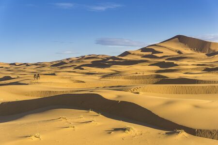 Caravan in the desertのeditorial素材