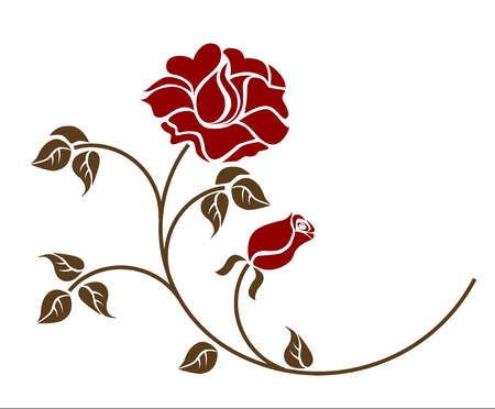 red roses on the white backgroud. Please check my portfolio for more versionsのイラスト素材