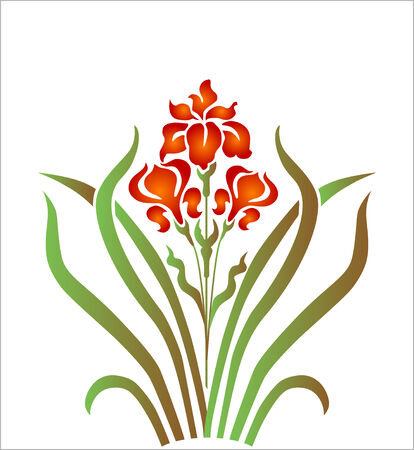 irisのイラスト素材