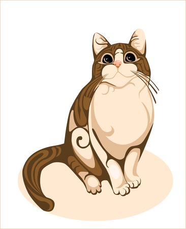 chocolate catのイラスト素材