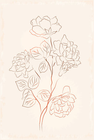 vintage sketchのイラスト素材