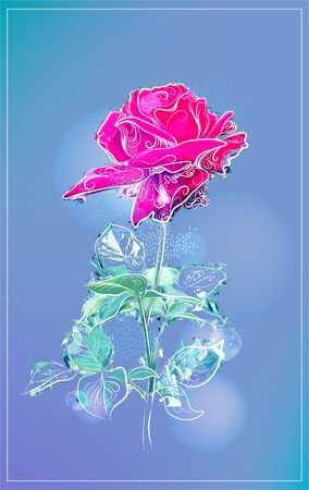 outline pink rose over blueのイラスト素材