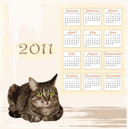 hand drawn calendar 2011 with lying tabby catのイラスト素材