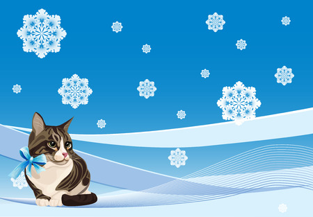 tabby cat on the winter backgroundのイラスト素材