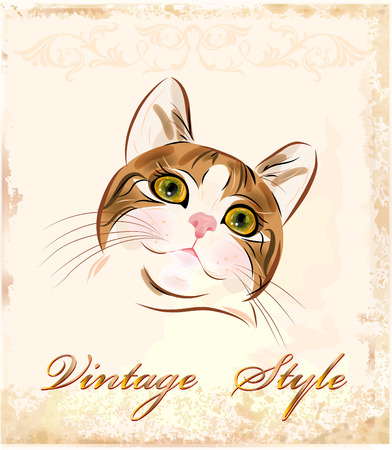 vintage portrait of  ginger tabby catのイラスト素材
