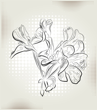 geranium flowers on the abstract backgroundのイラスト素材