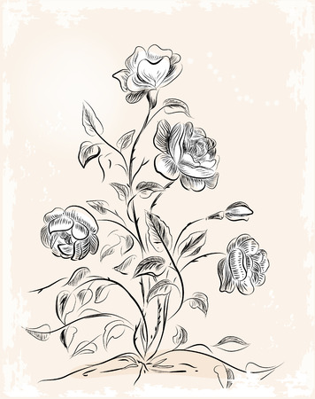 vintage greeting card with rosesのイラスト素材