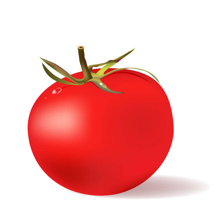red tomato  with water dropsのイラスト素材