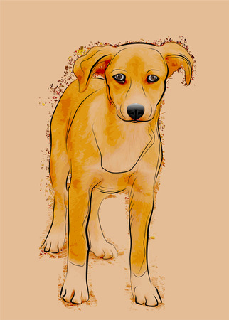 portrait of homeless stray dogのイラスト素材