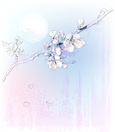 cherry blossoms in full bloomのイラスト素材