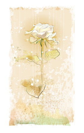 vintage white roseのイラスト素材