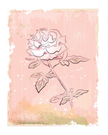 vintage white roseのイラスト素材