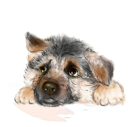 portrait of the german shepherd puppyのイラスト素材