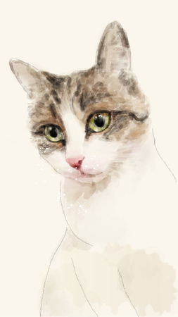 hand drawn watercolor sketch of the catのイラスト素材