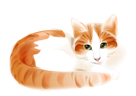 portrait of the ginger catのイラスト素材
