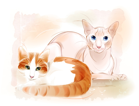 Couple of cats on the watercolor background. Ginger cat and sphinx cat.のイラスト素材